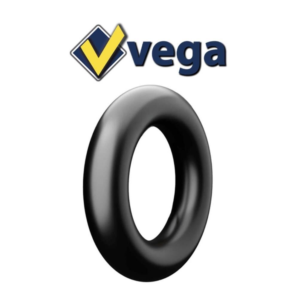 Vega 14.9/13-28 Tr218A İç Lastik